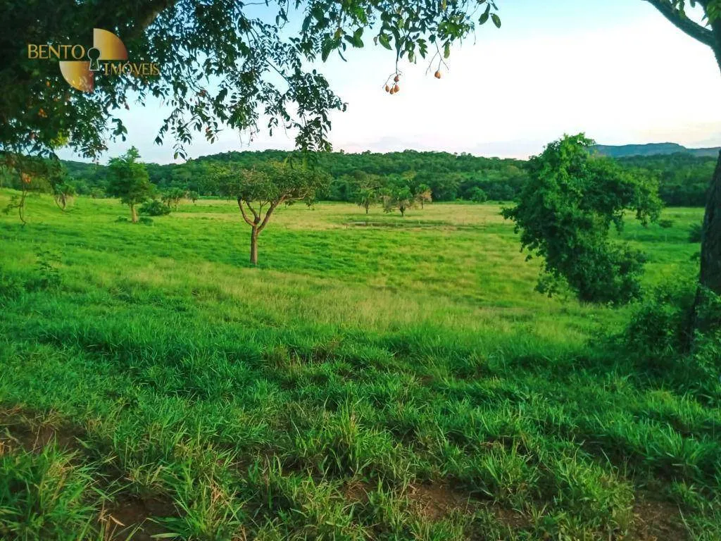 Fazenda à venda de 303 ha em Pedra Preta, MT, Brasil