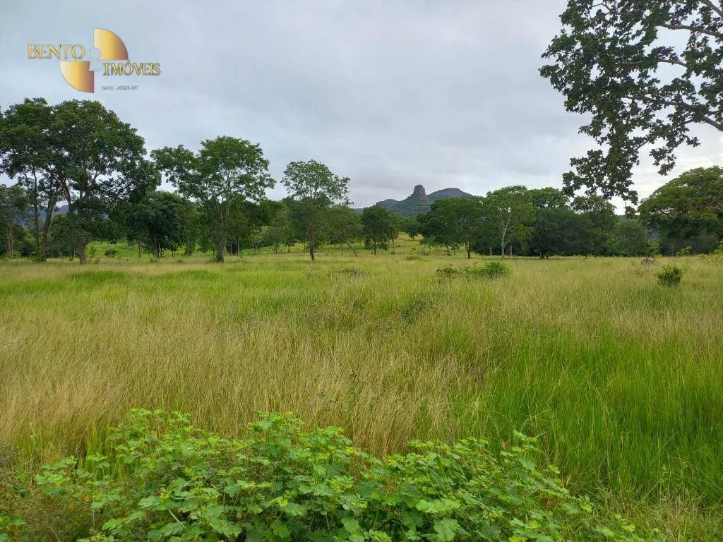 Fazenda à venda de 303 ha em Pedra Preta, MT, Brasil