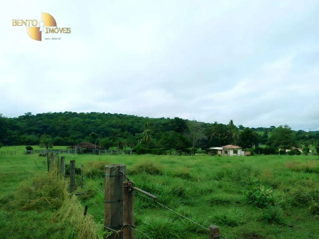 Fazenda à venda de 303 ha em Pedra Preta, MT, Brasil