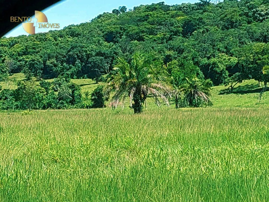 Fazenda à venda de 303 ha em Pedra Preta, MT, Brasil