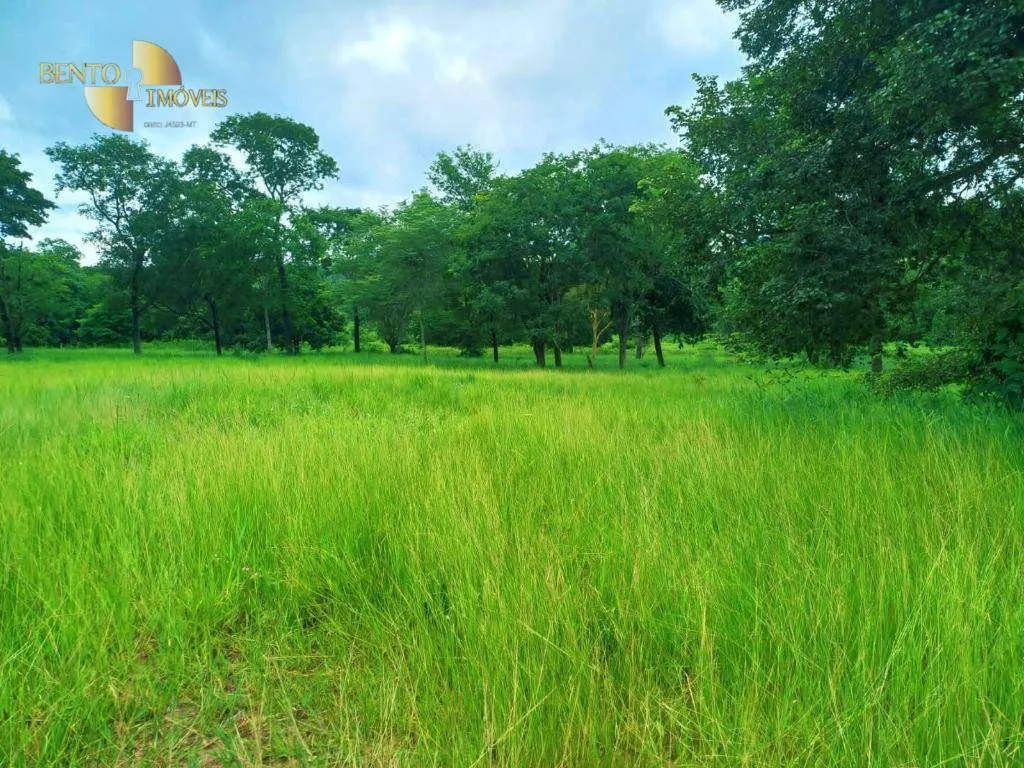 Fazenda à venda de 303 ha em Pedra Preta, MT, Brasil