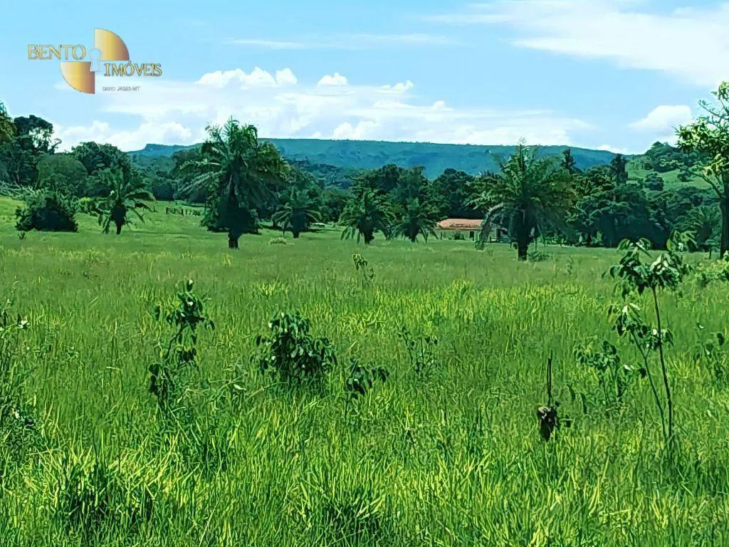 Fazenda à venda de 303 ha em Pedra Preta, MT, Brasil