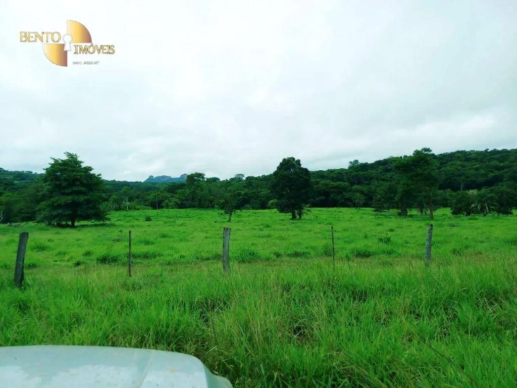 Fazenda à venda de 303 ha em Pedra Preta, MT, Brasil
