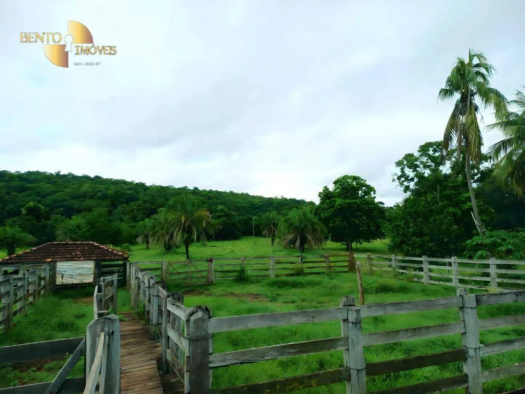 Fazenda à venda de 303 ha em Pedra Preta, MT, Brasil