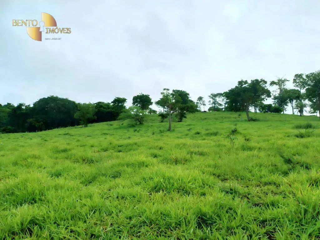 Fazenda à venda de 303 ha em Pedra Preta, MT, Brasil