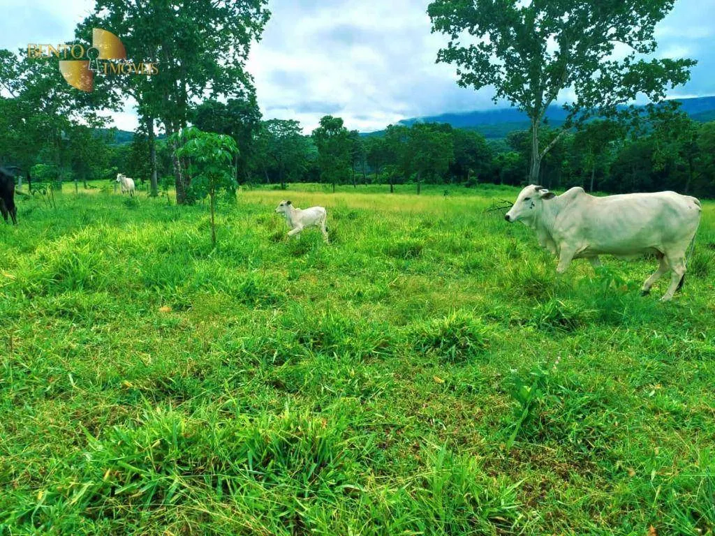Fazenda à venda de 303 ha em Pedra Preta, MT, Brasil
