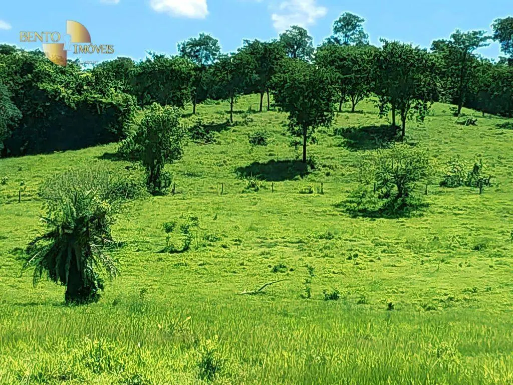 Fazenda à venda de 303 ha em Pedra Preta, MT, Brasil