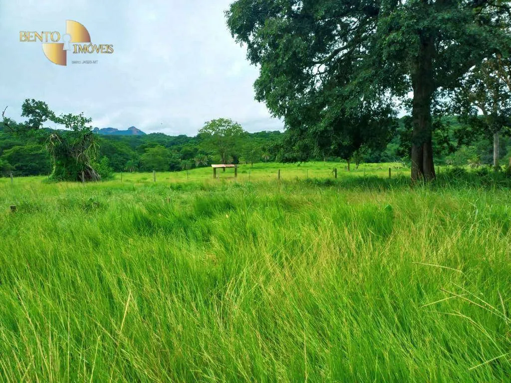 Fazenda à venda de 303 ha em Pedra Preta, MT, Brasil