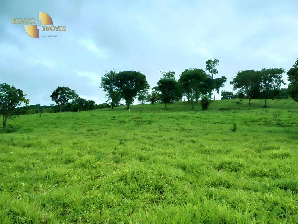 Fazenda à venda de 303 ha em Pedra Preta, MT, Brasil