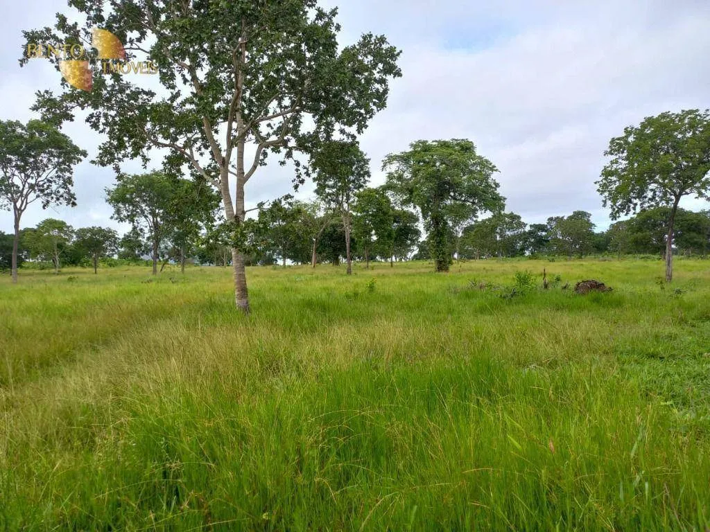 Fazenda à venda de 303 ha em Pedra Preta, MT, Brasil