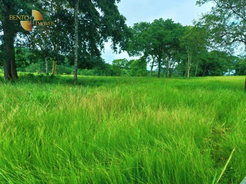 Fazenda à venda de 303 ha em Pedra Preta, MT, Brasil