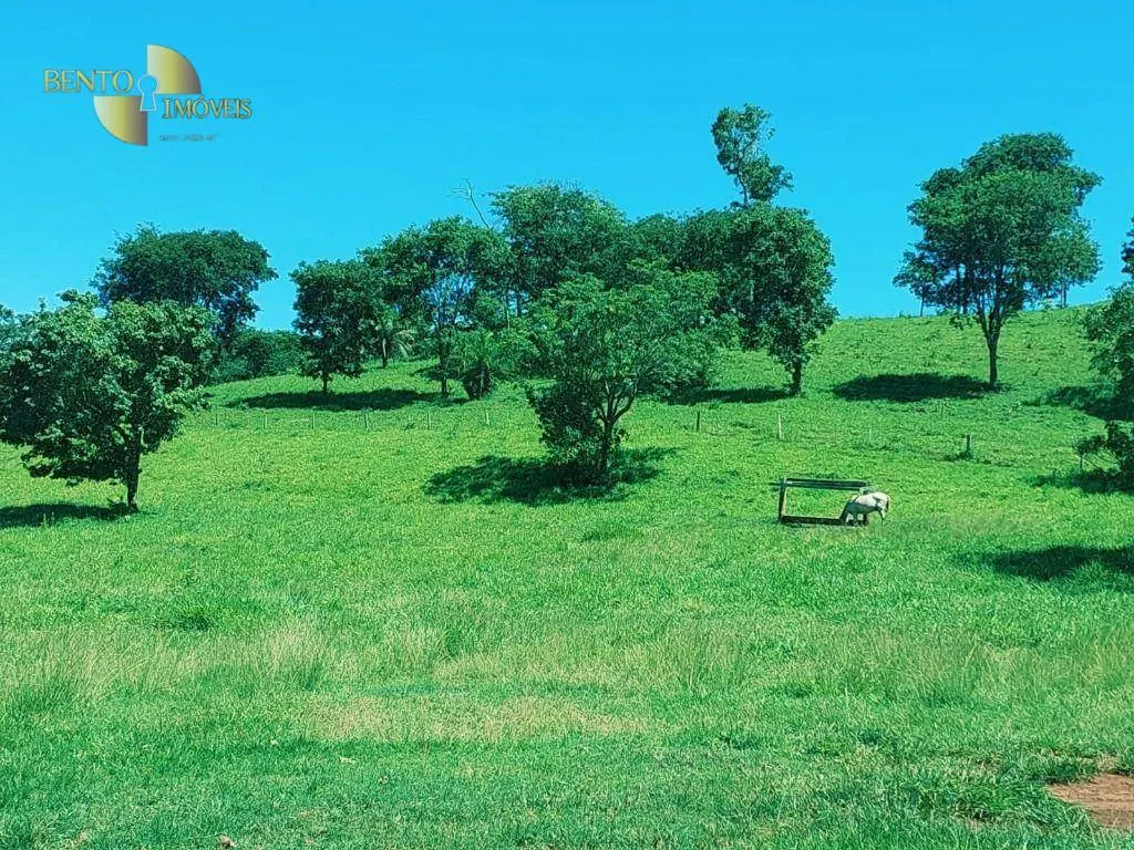 Fazenda à venda de 303 ha em Pedra Preta, MT, Brasil