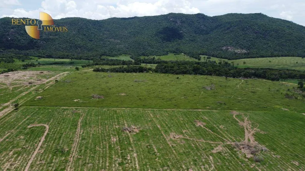 Fazenda à venda de 250 ha em Santo Antônio do Leverger, MT, Brasil