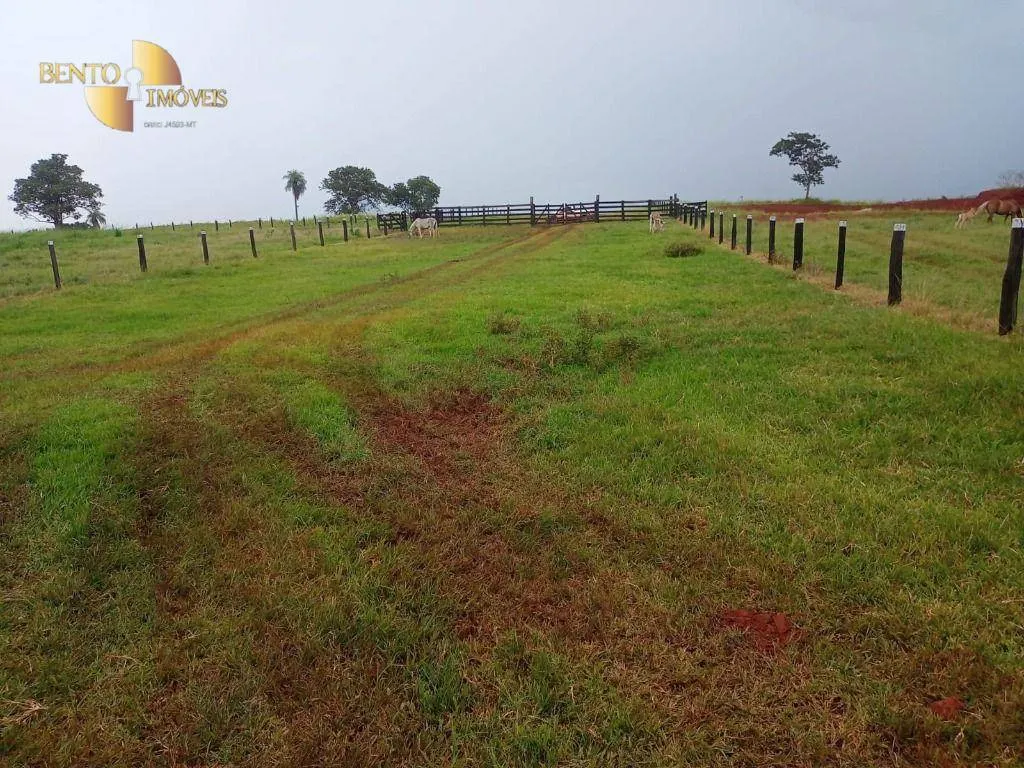 Fazenda à venda de 189 ha em Rondonópolis, MT, Brasil