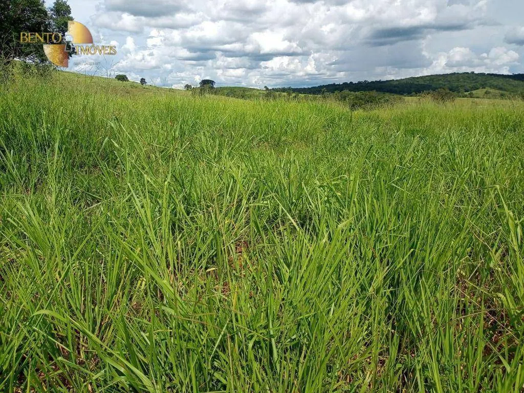 Fazenda à venda de 189 ha em Rondonópolis, MT, Brasil