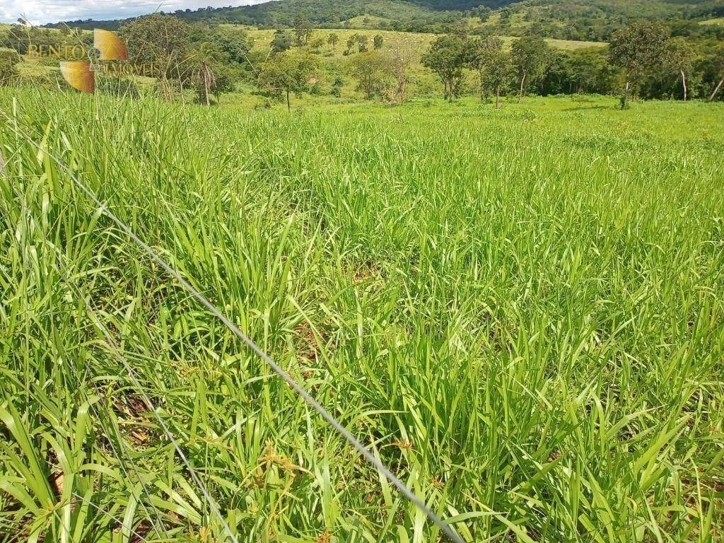 Fazenda à venda de 189 ha em Rondonópolis, MT, Brasil