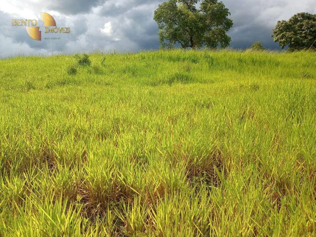 Fazenda à venda de 189 ha em Rondonópolis, MT, Brasil