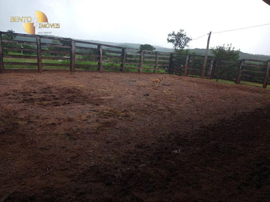 Fazenda à venda de 189 ha em Rondonópolis, MT, Brasil