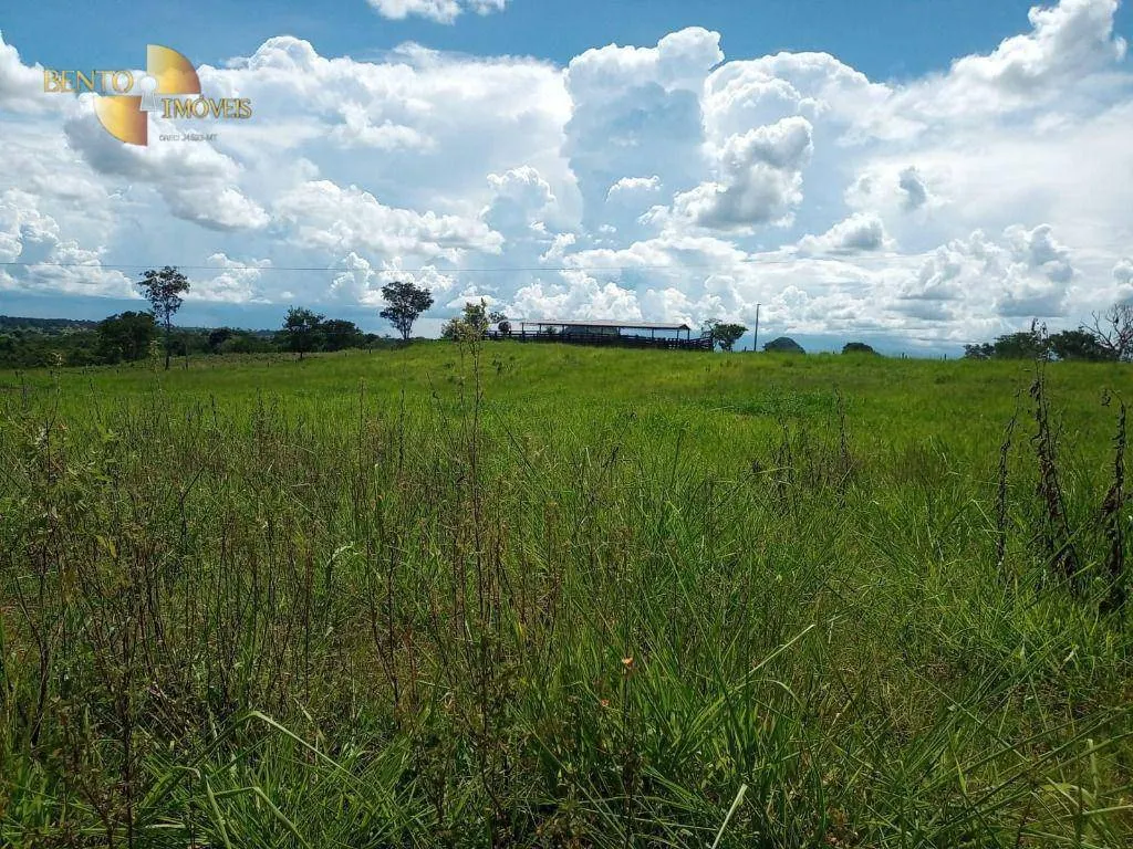 Fazenda à venda de 189 ha em Rondonópolis, MT, Brasil