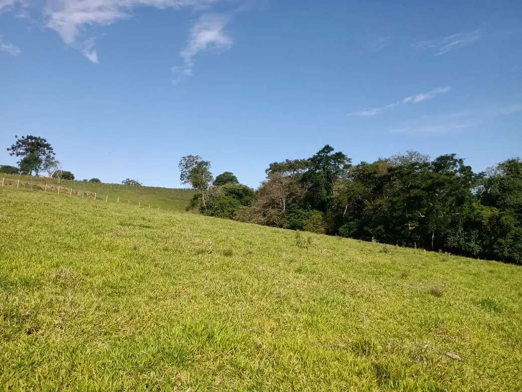 Sítio à venda de 13 ha em Itapetininga, SP, Brasil