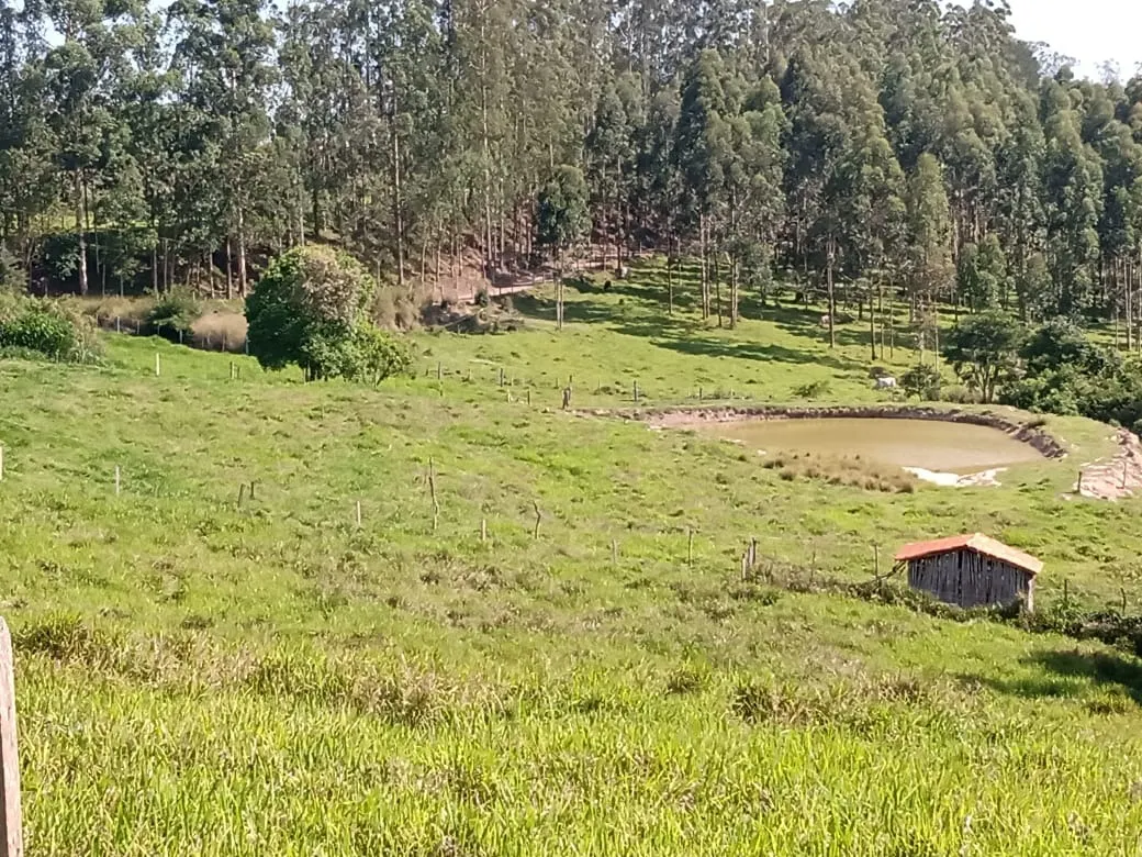 Sítio à venda de 13 ha em Itapetininga, SP, Brasil