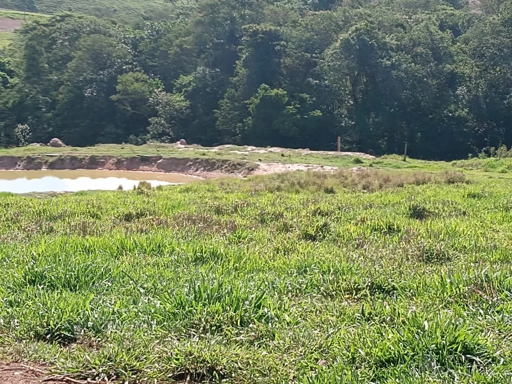 Sítio à venda de 13 ha em Itapetininga, SP, Brasil