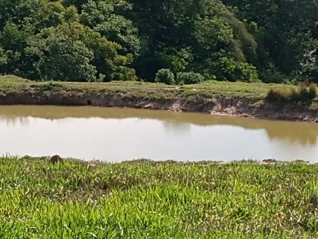 Sítio à venda de 13 ha em Itapetininga, SP, Brasil