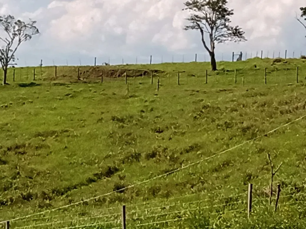 Sítio à venda de 13 ha em Itapetininga, SP, Brasil