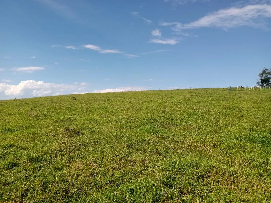Sítio à venda de 13 ha em Itapetininga, SP, Brasil