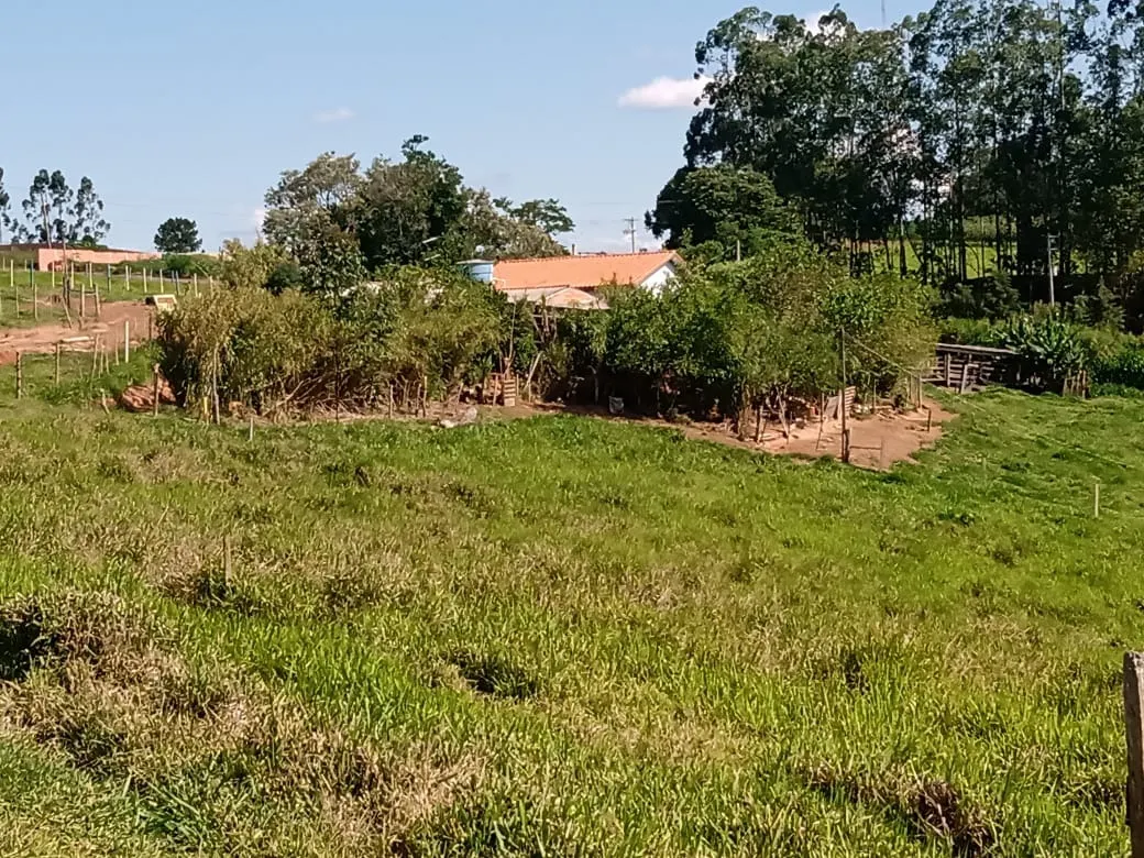 Sítio à venda de 13 ha em Itapetininga, SP, Brasil