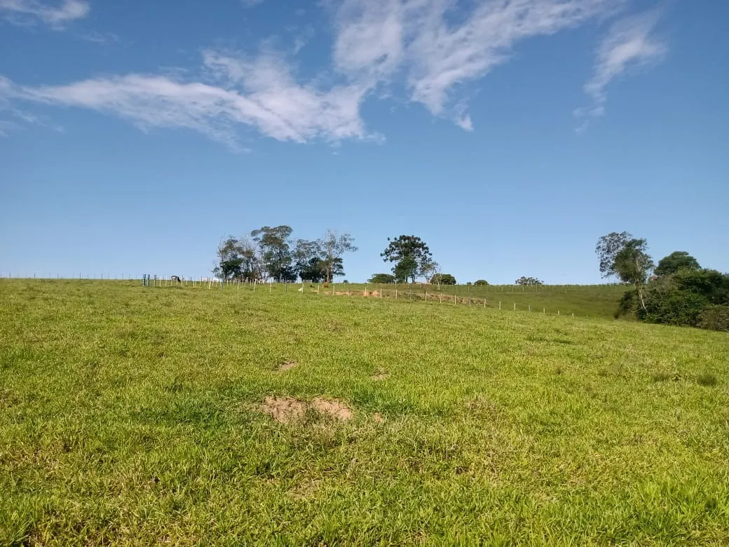 Sítio à venda de 13 ha em Itapetininga, SP, Brasil