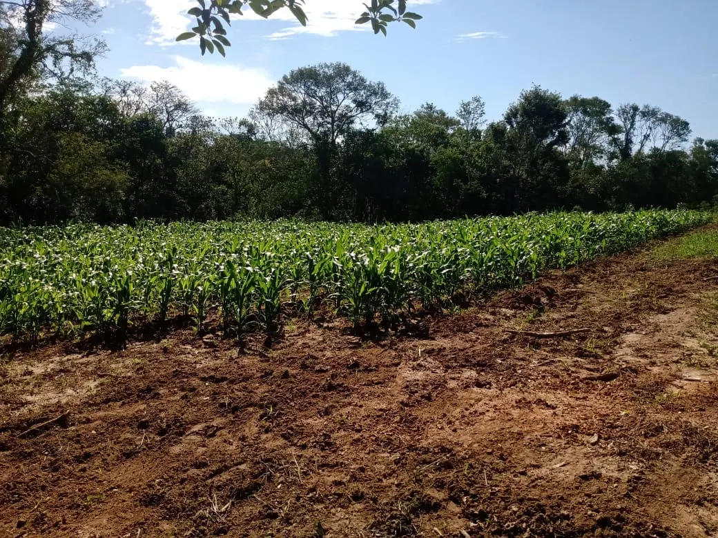 Sítio à venda de 13 ha em Itapetininga, SP, Brasil