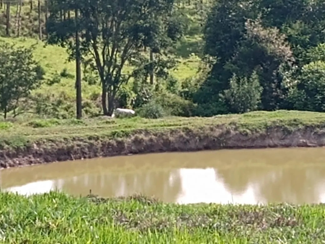 Sítio à venda de 13 ha em Itapetininga, SP, Brasil