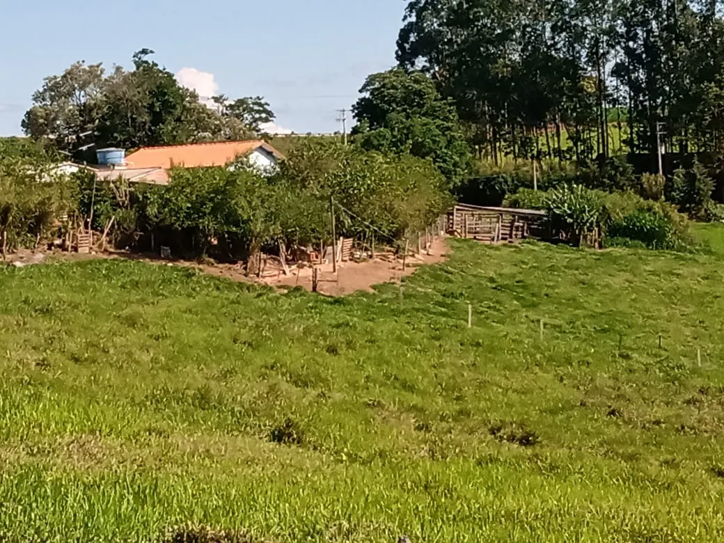 Sítio à venda de 13 ha em Itapetininga, SP, Brasil