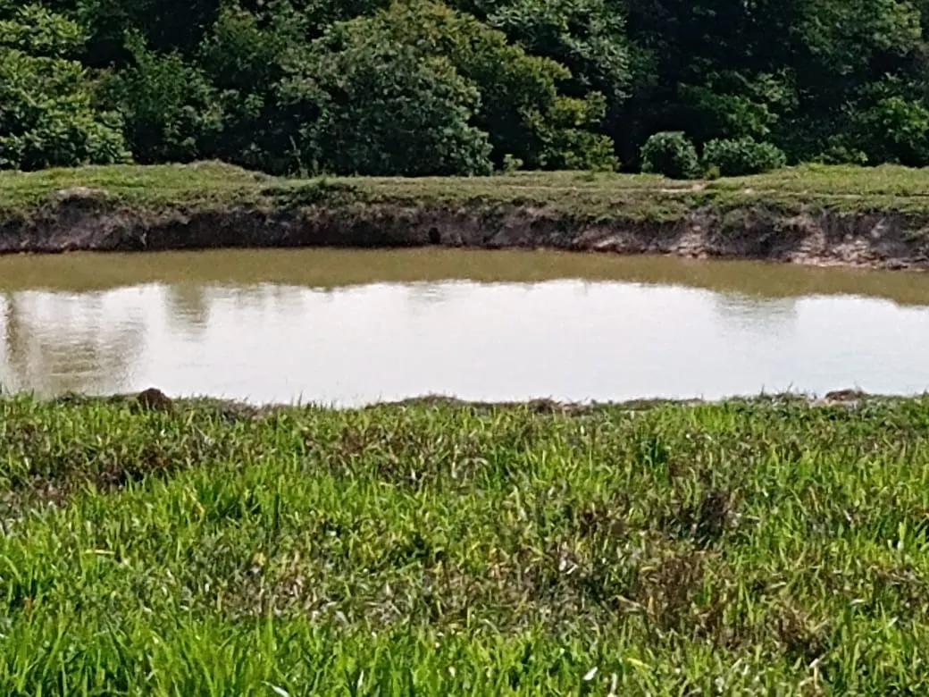 Sítio à venda de 13 ha em Itapetininga, SP, Brasil