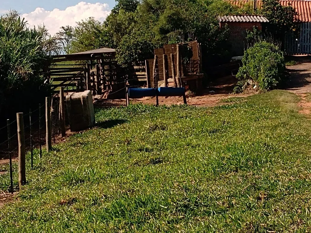 Sítio à venda de 13 ha em Itapetininga, SP, Brasil