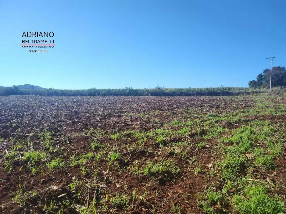 Fazenda à venda de 537 ha em Serra Negra, SP, Brasil