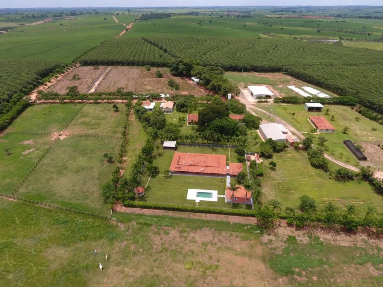 Fazenda à venda de 987 ha em Tupã, SP, Brasil