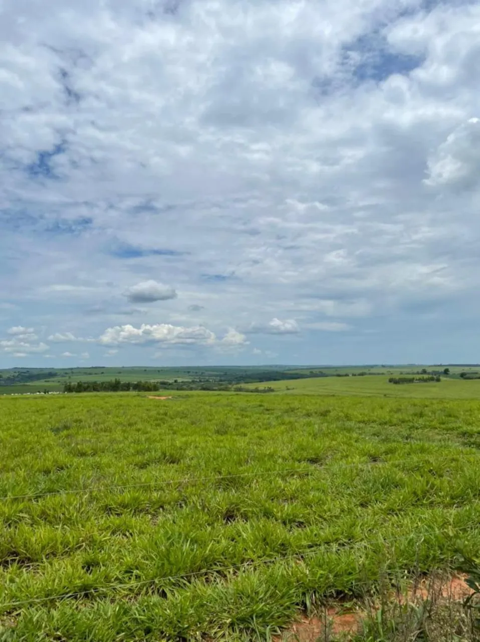 Fazenda à venda de 987 ha em Tupã, SP, Brasil