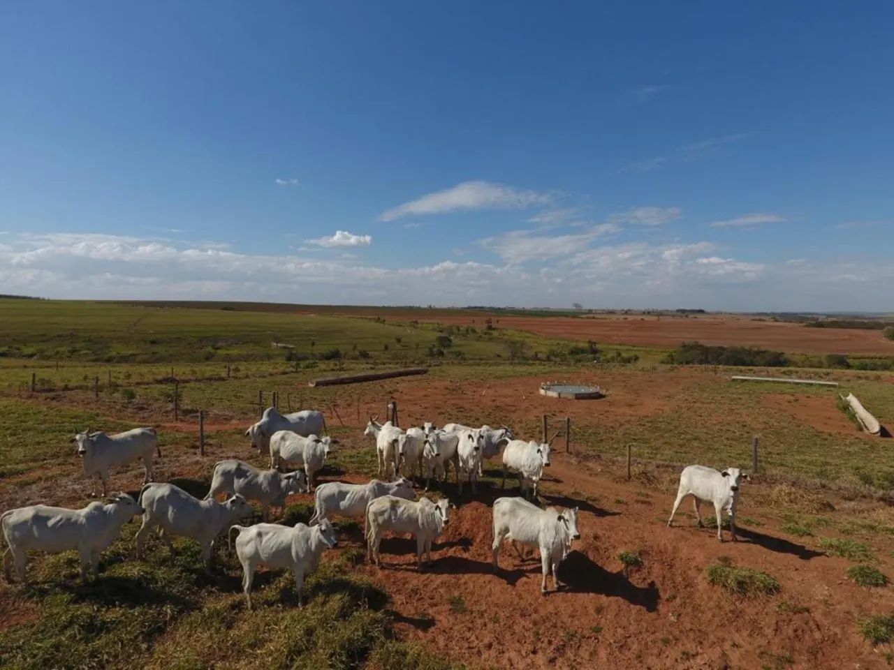 Fazenda à venda de 987 ha em Tupã, SP, Brasil