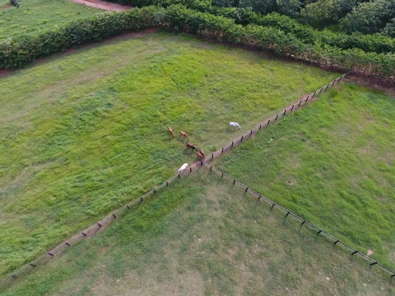 Fazenda à venda de 987 ha em Tupã, SP, Brasil