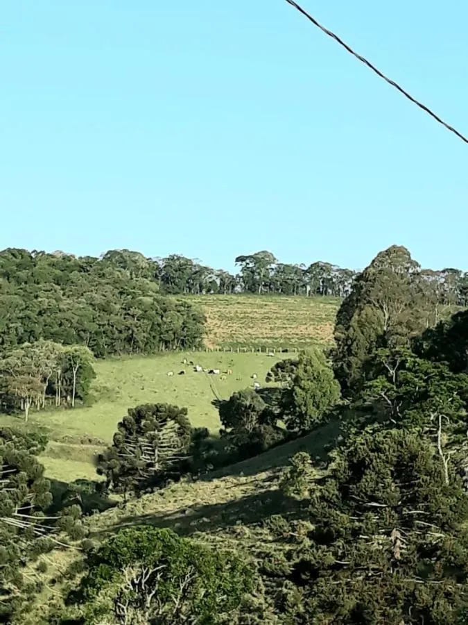 Sítio à venda de 5 ha em Pedra Bela, SP, Brasil