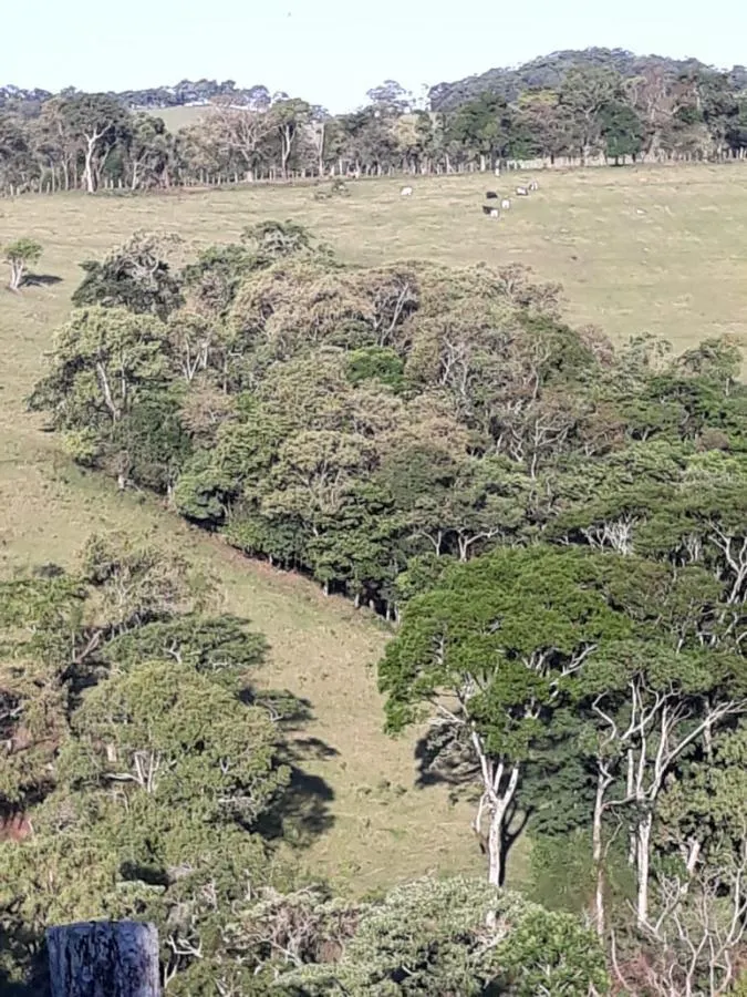 Sítio à venda de 5 ha em Pedra Bela, SP, Brasil