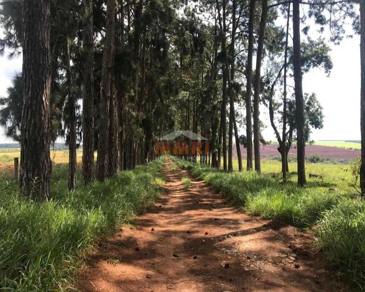 Fazenda à venda de 185 ha em Capela do Alto, SP, Brasil