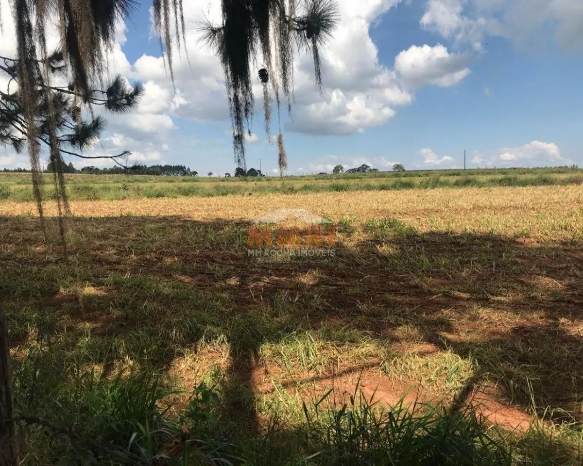 Fazenda à venda de 185 ha em Capela do Alto, SP, Brasil