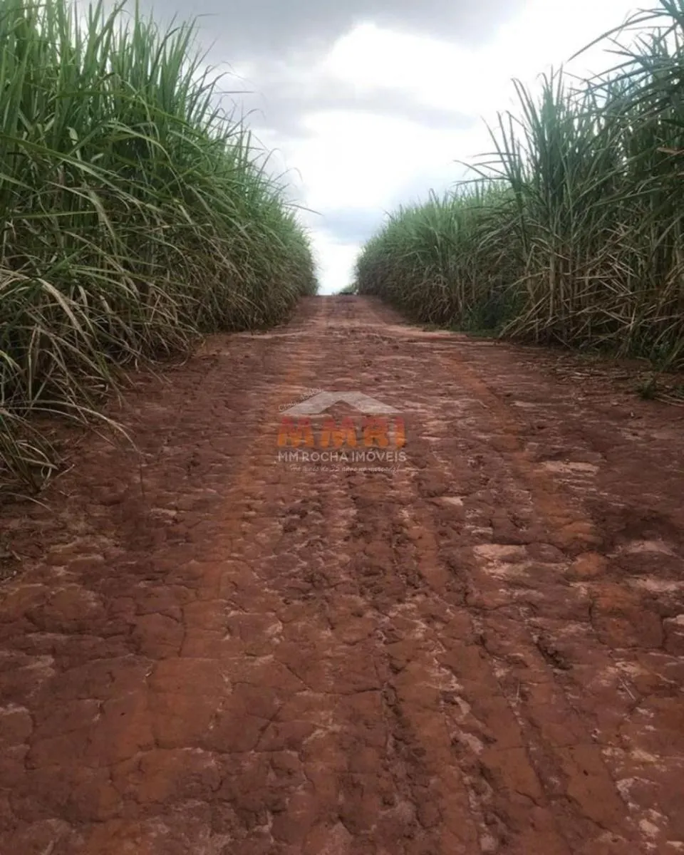 Fazenda à venda de 185 ha em Capela do Alto, SP, Brasil