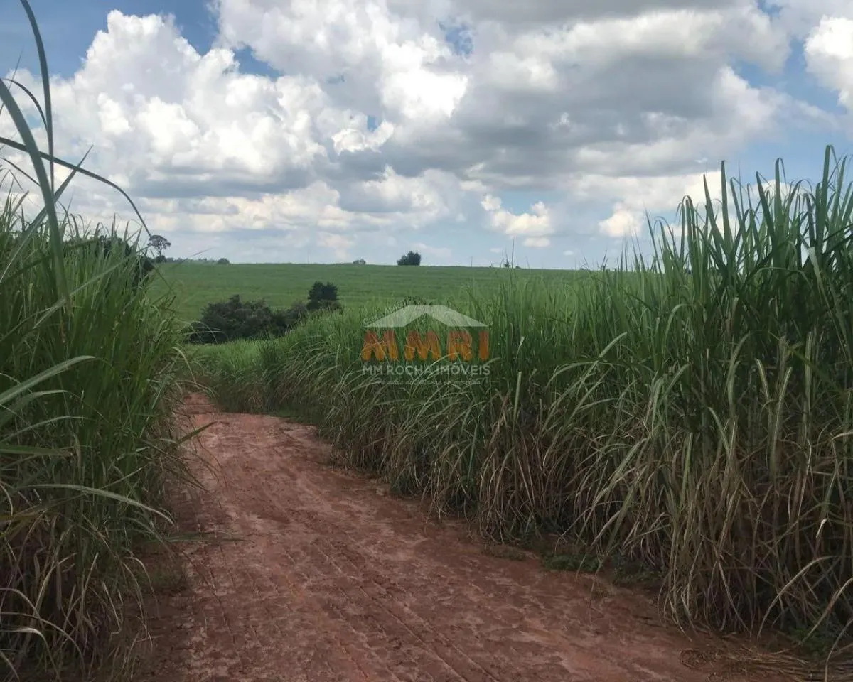 Fazenda à venda de 185 ha em Capela do Alto, SP, Brasil