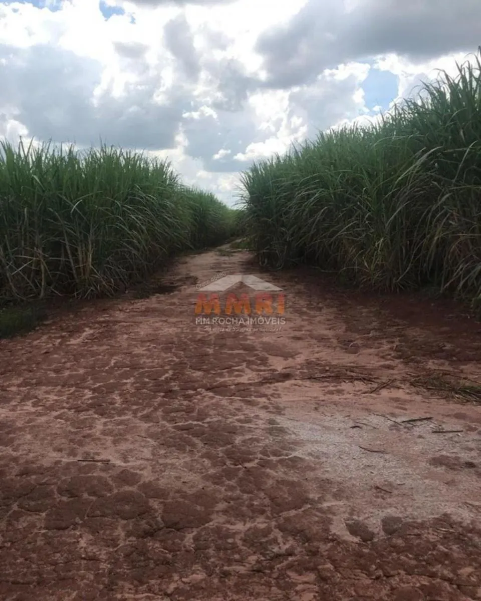 Fazenda à venda de 185 ha em Capela do Alto, SP, Brasil