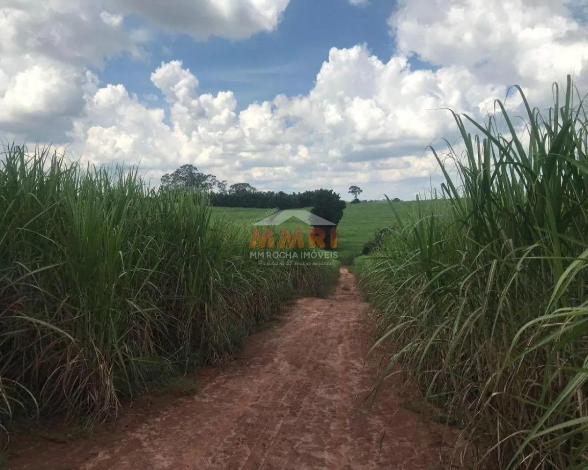 Fazenda à venda de 185 ha em Capela do Alto, SP, Brasil