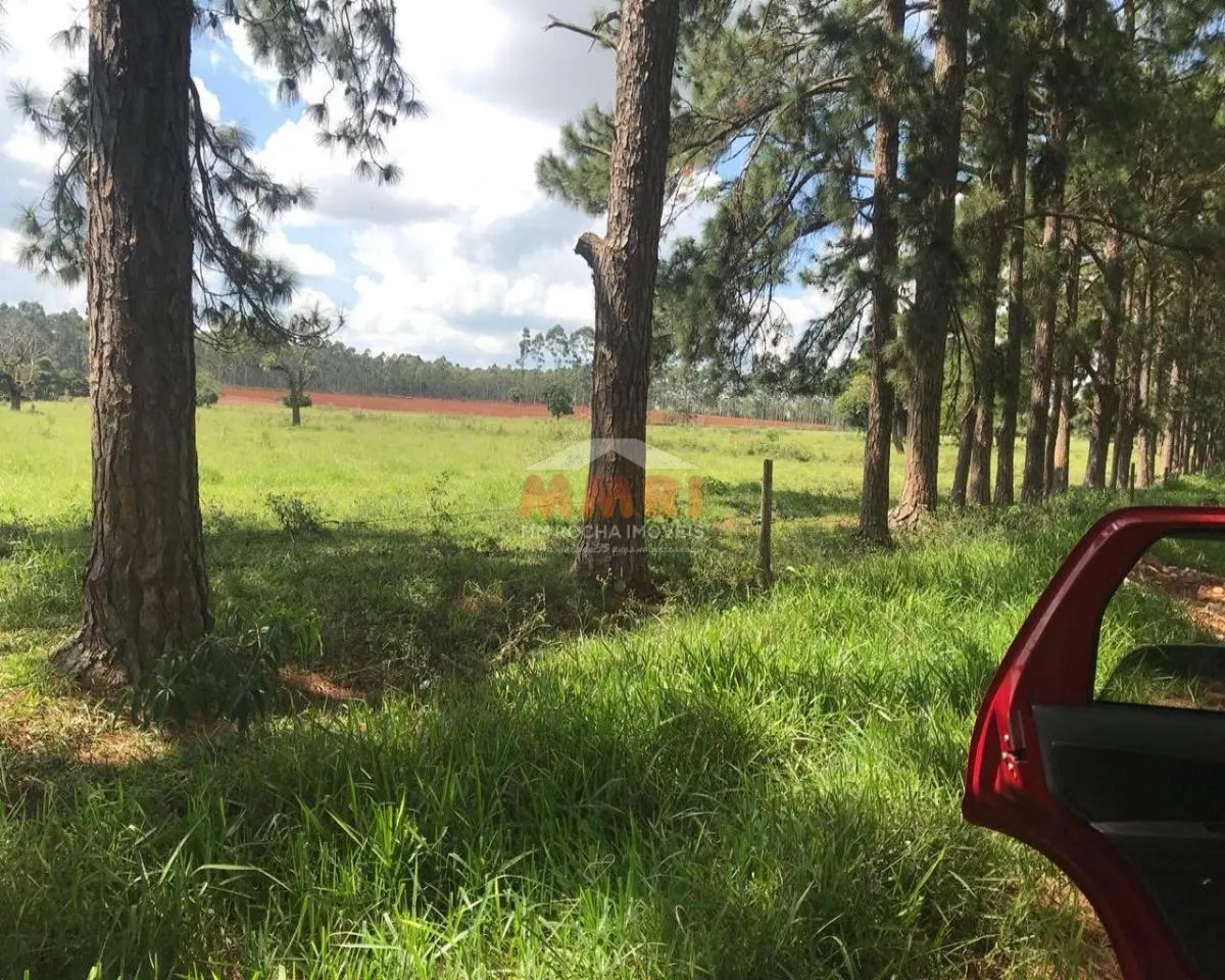 Fazenda à venda de 185 ha em Capela do Alto, SP, Brasil
